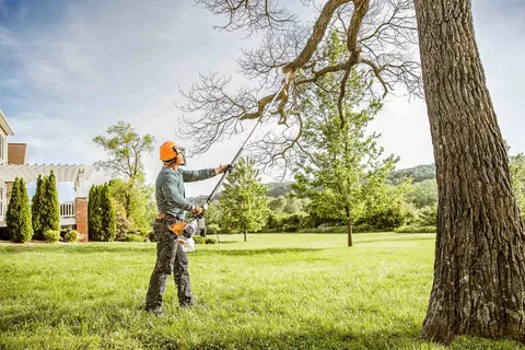 Lubbers & Sons Tree Care